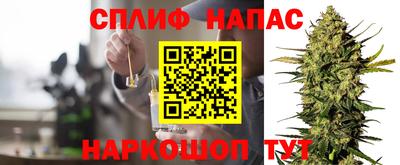бошки Дубна