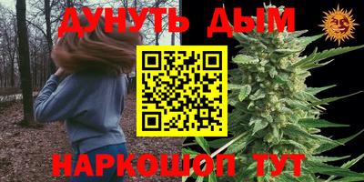 бошки Дубна