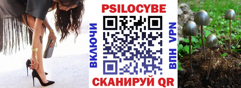 Псилоцибиновые грибы Psilocybe  Лесосибирск 